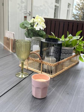 Charming 3 bedroom apartment Akureyri